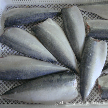 Κατεψυγμένο σκουμπρί ψαριών φιλέτο χωρίς κόκαλα σε κενό συσκευασμένο